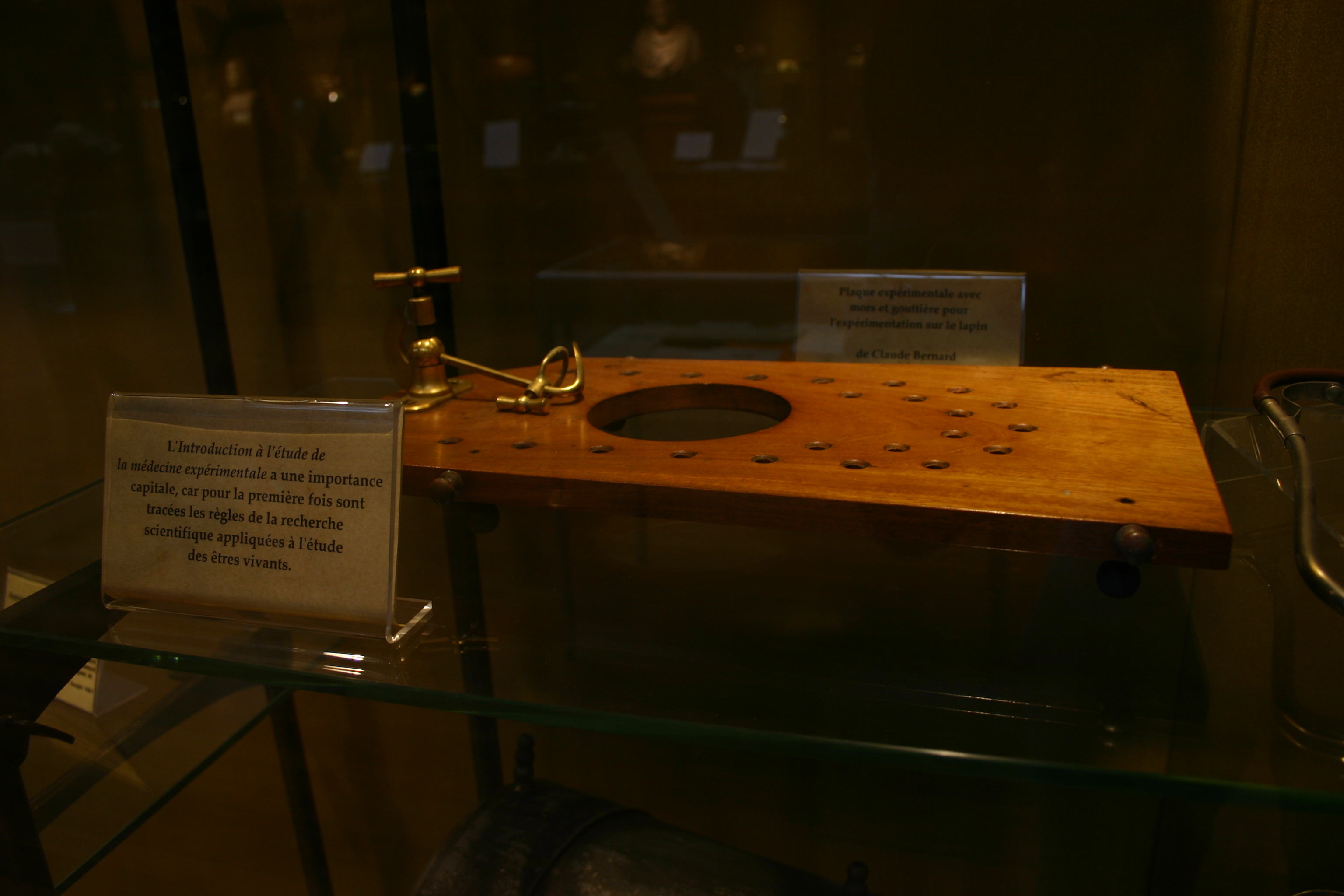 Claude Bernard experimental platform, Musée d'Histoire de la Médecine, Paris (3).JPG